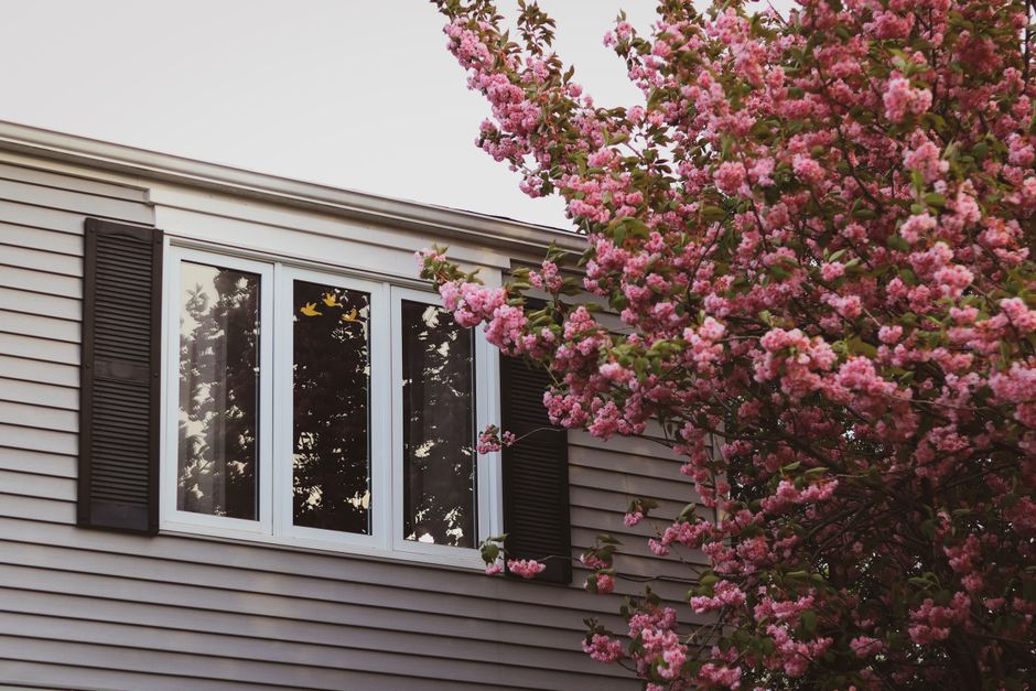 A house exterior with white windows and black shutters.